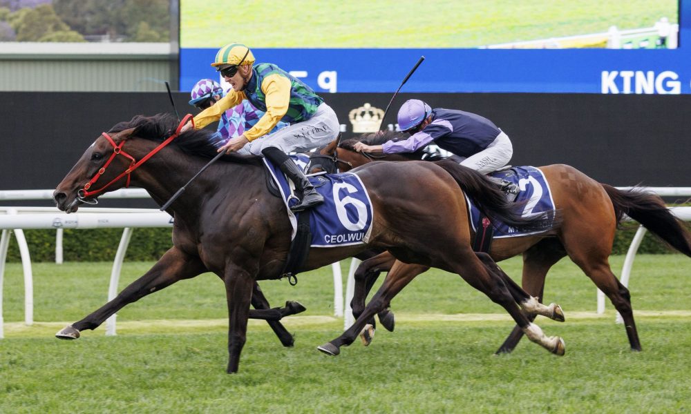 中超赛季首 中超赛季首